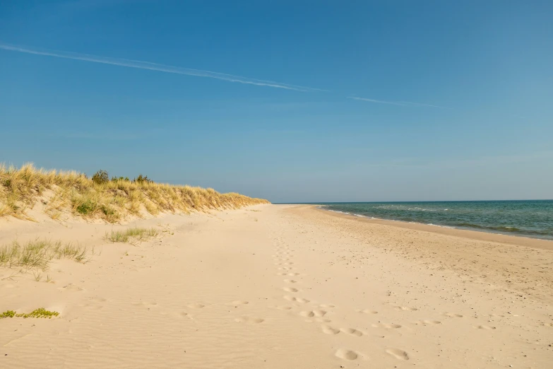 a sandy beach with some grass and a blue sky