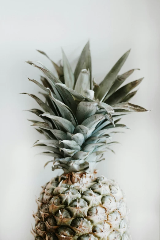 a pineapple is displayed in a gray vase