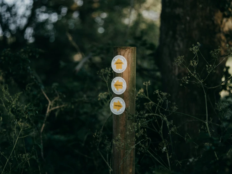 three plates with orange stuff on them sitting on a wooden post