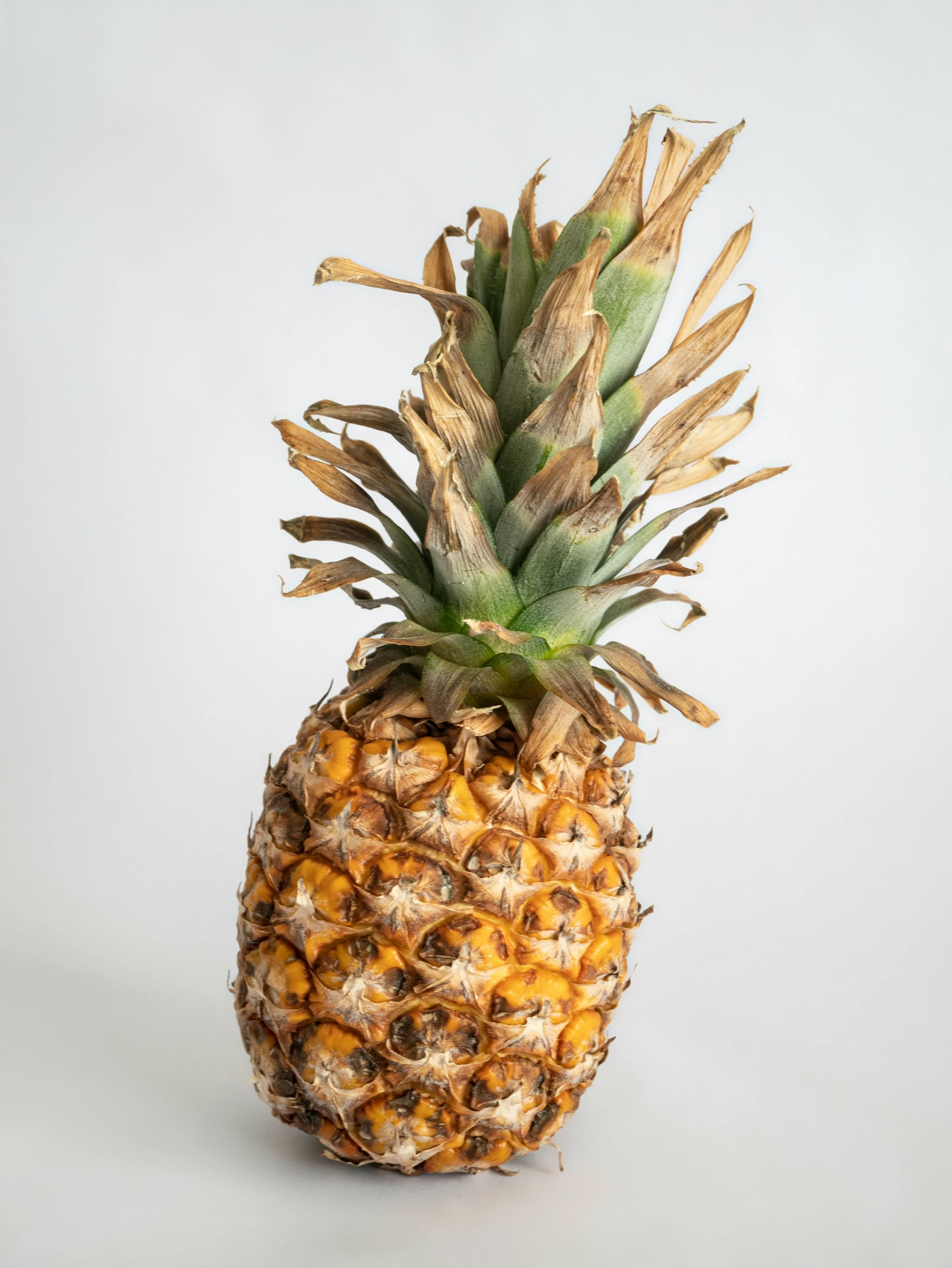 a pineapple standing upright against a gray background