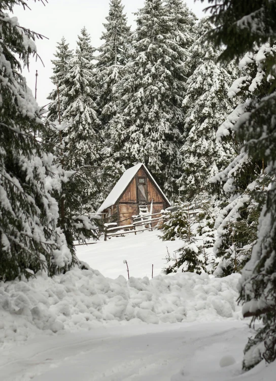 the cabin stands behind several evergreens, which are covered in snow