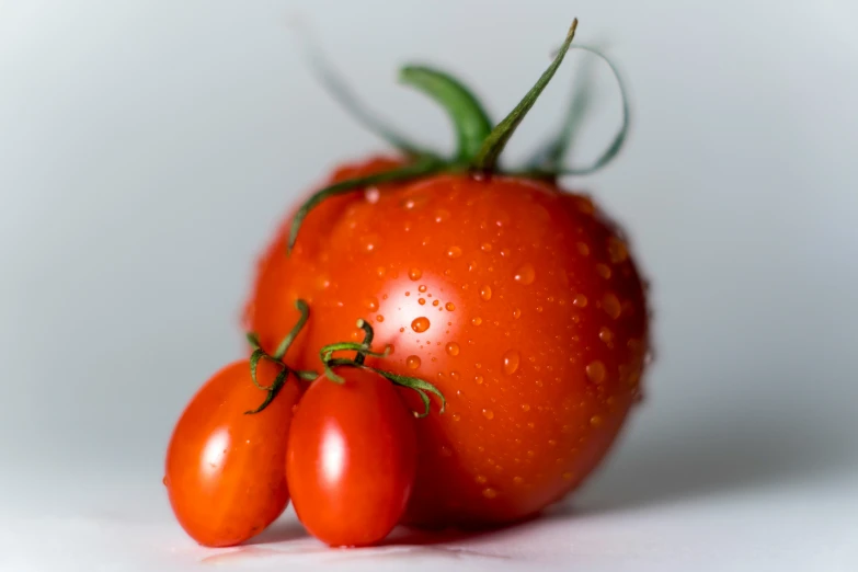 three red tomatoes on the vine with drops of water on them