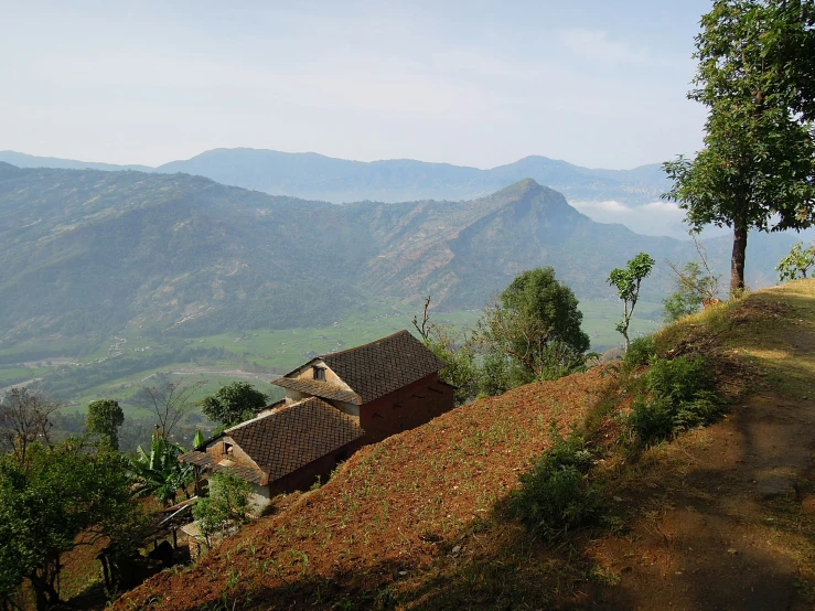 a cabin set on a hilltop by a tree