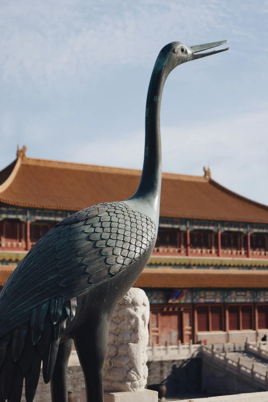 an exotic bird is outside of a chinese building