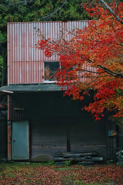 an older barn with a metal roof sits in the fall colors