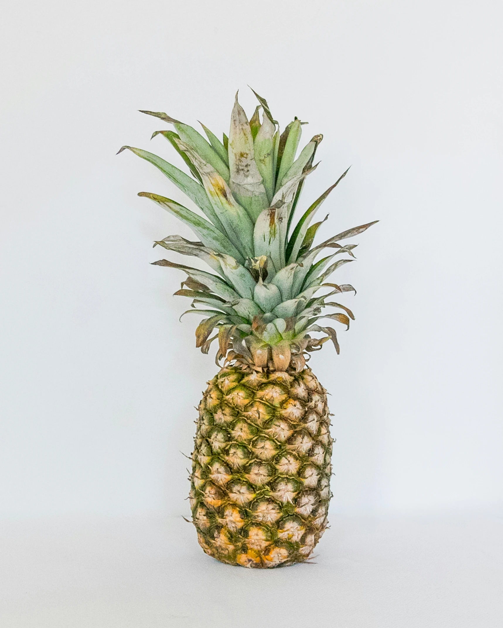 a pineapple in a vase sitting against a wall