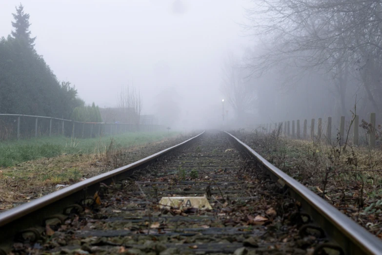a railroad tracks sitting near trees on a foggy day