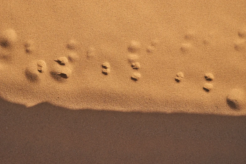 tracks in the sand are drawn by people