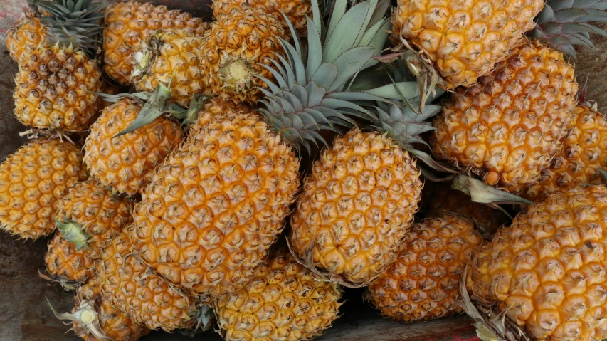 a bunch of pineapples stacked up together for sale