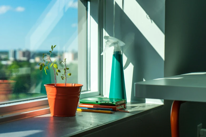 a view of the city outside a window, shows green plants in potted vases