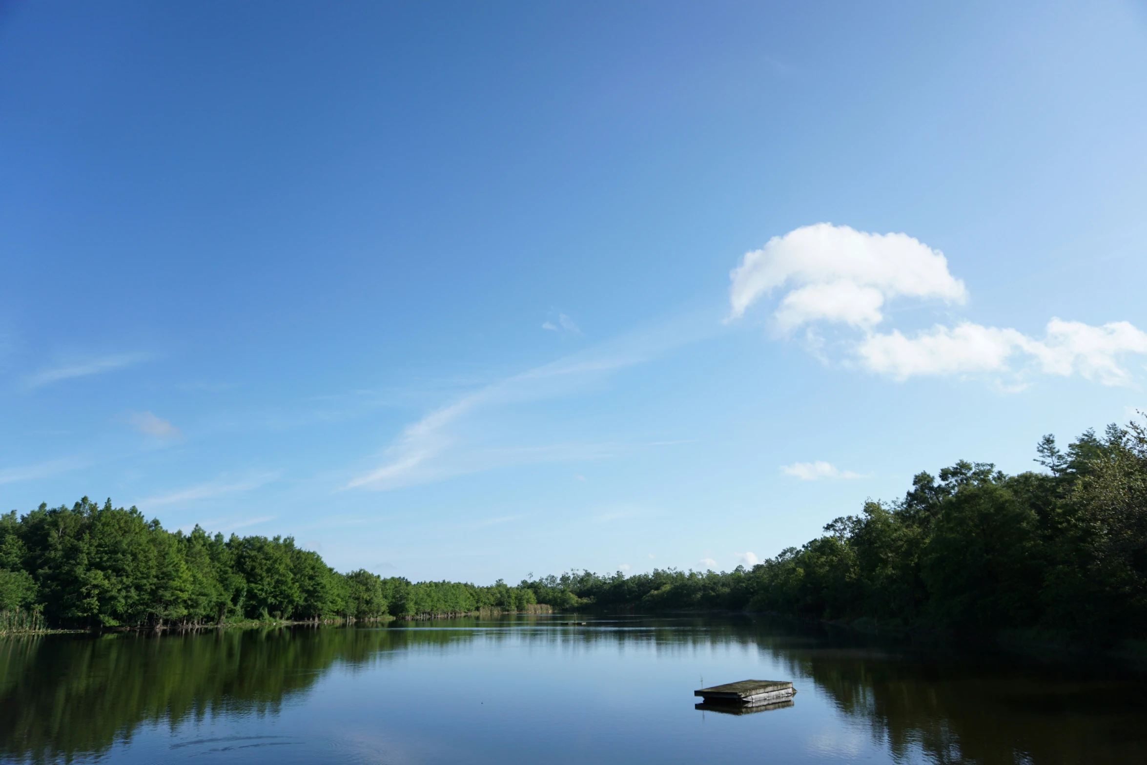 a boat traveling down a small river surrounded by trees