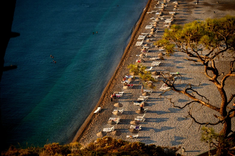 several boats are parked on the sand next to a tree