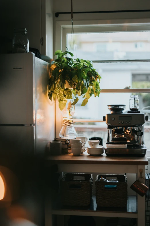 there is a coffee pot that has plants on it