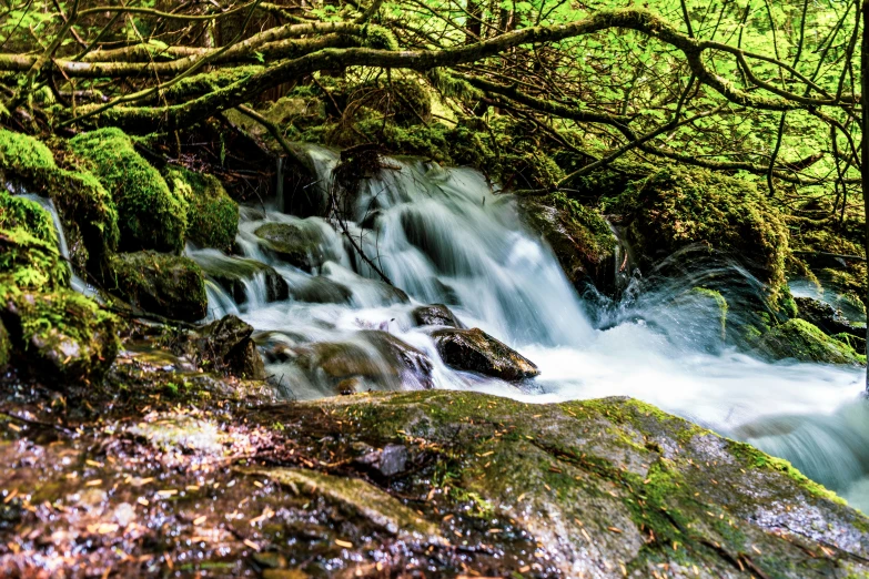 a small stream of water is flowing among mossy rocks