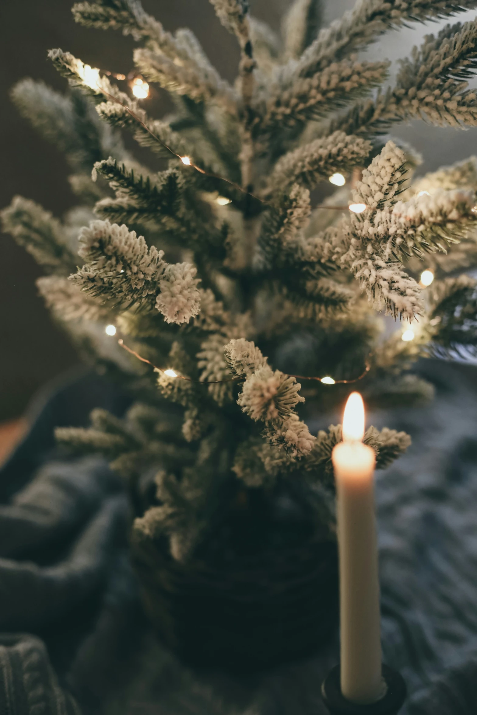 a candle is lit next to a christmas tree