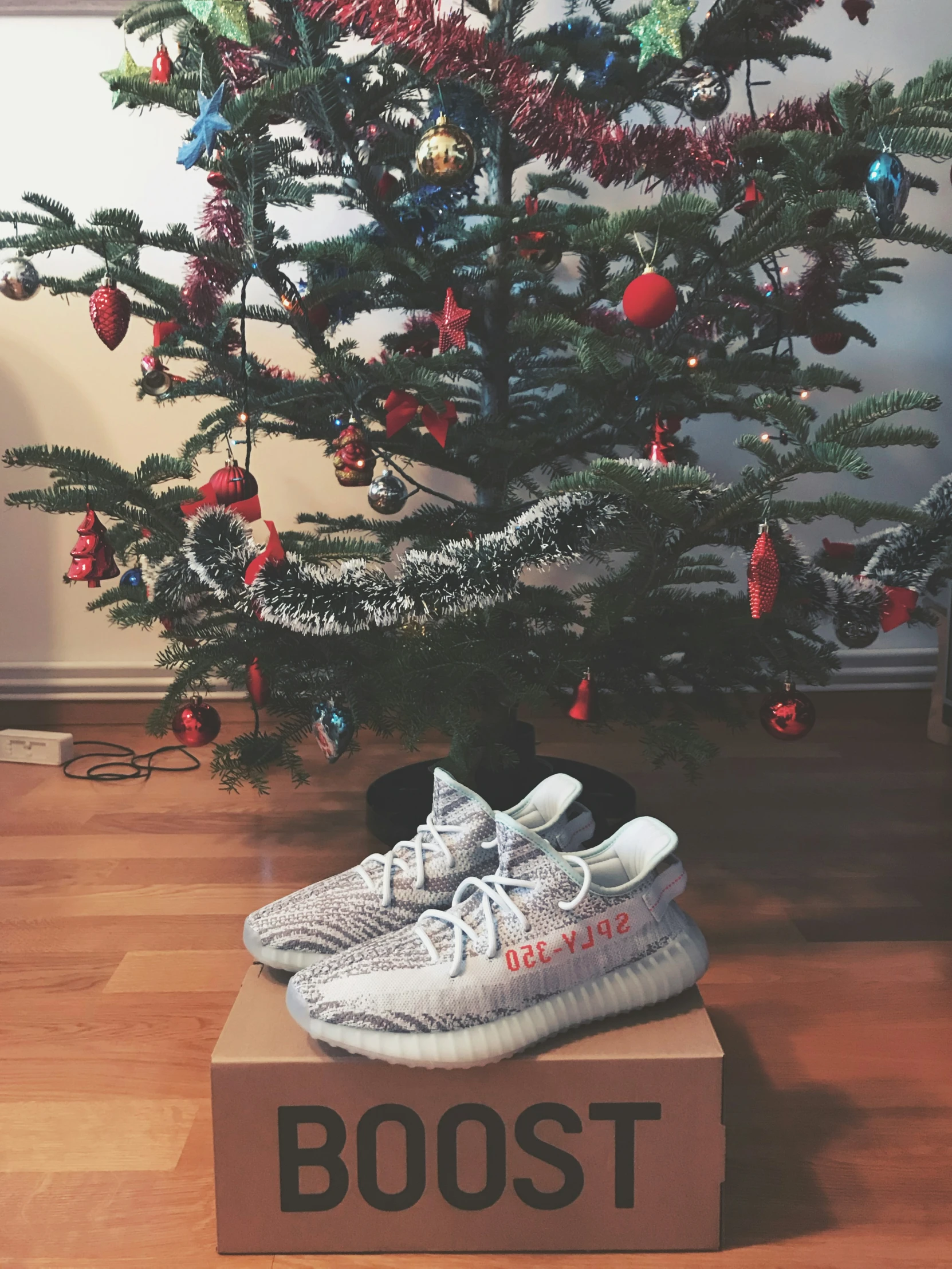 a pair of shoes sitting on top of a box under a christmas tree