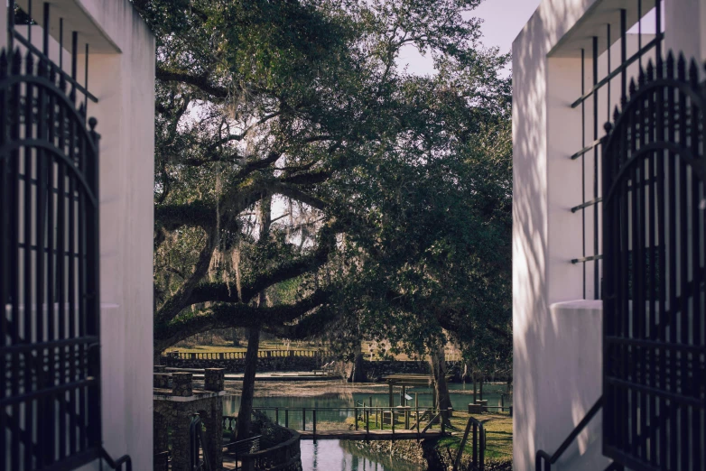 an open gate in front of trees with a pond behind them