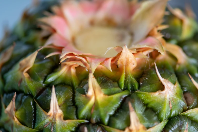 a pineapple sitting in the middle of a pile