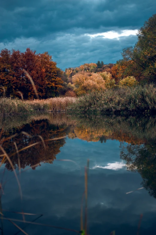 an image of a pond that is pretty