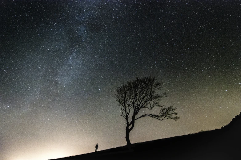lone tree and sky filled with stars on the hill