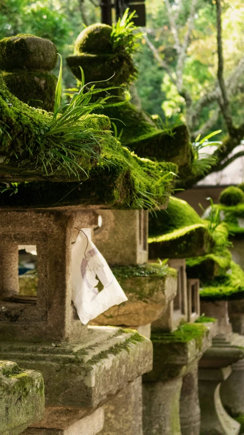 the moss covered rocks in the park are in the process of being used