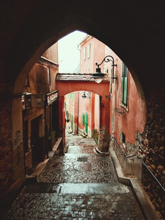 an alley way with a potted plant and door on each side