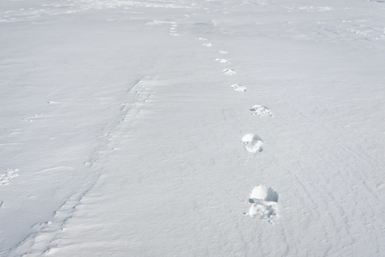 footprints and tracks in the snow leading towards the camera