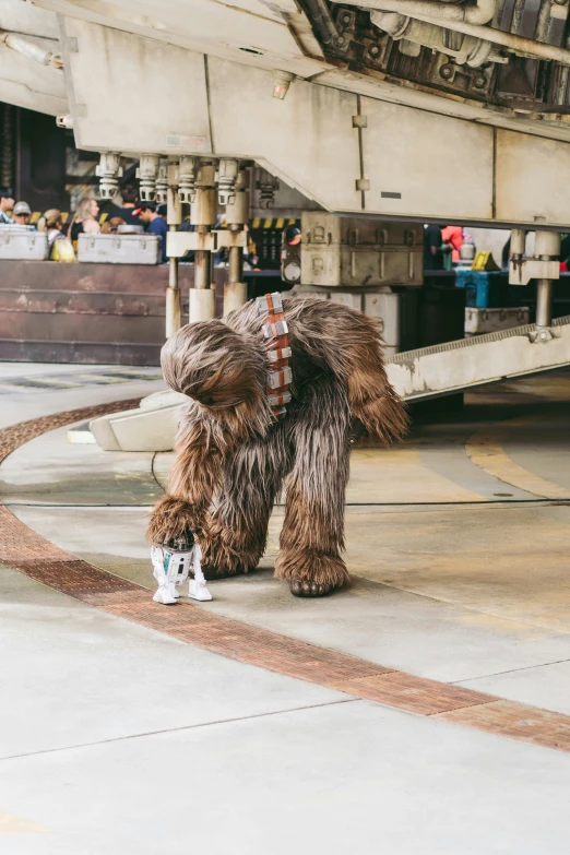 an elephant dressed as a star wars chewie stands in the center of a building