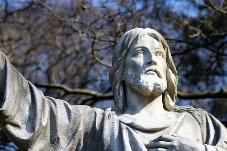 a statue of jesus is pictured with the tree in the background