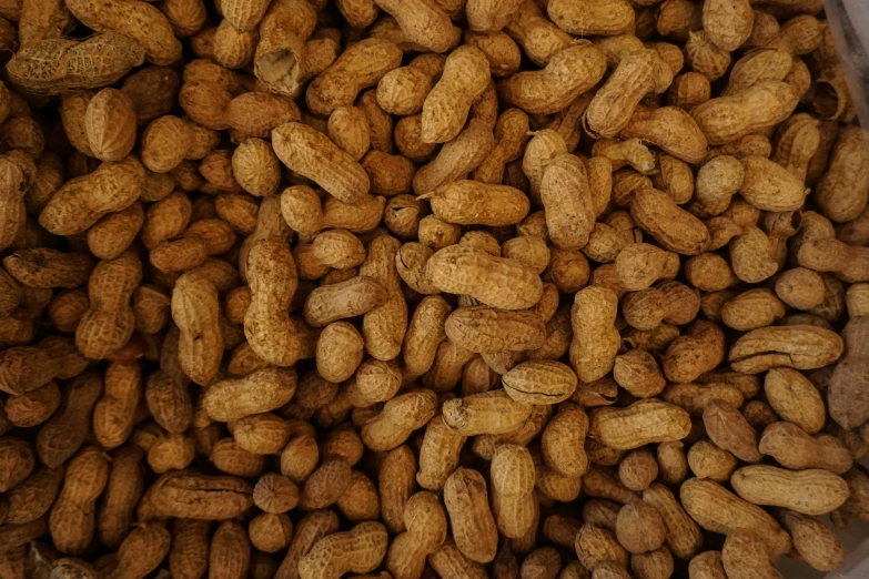 the peanut is the most abundant plant in the world