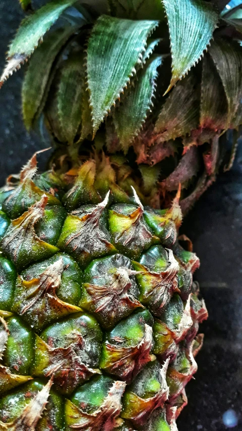 a single pineapple fruit with the top of it unfurnished
