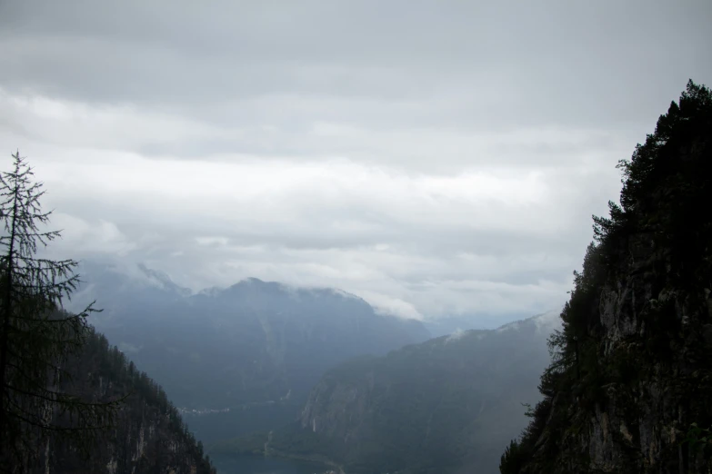 a foggy valley with mountains and pine trees