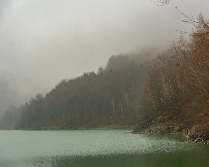 a tree lined body of water with an overcast sky