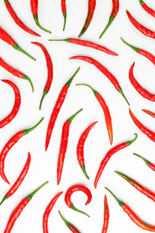 a pattern made up of long red peppers