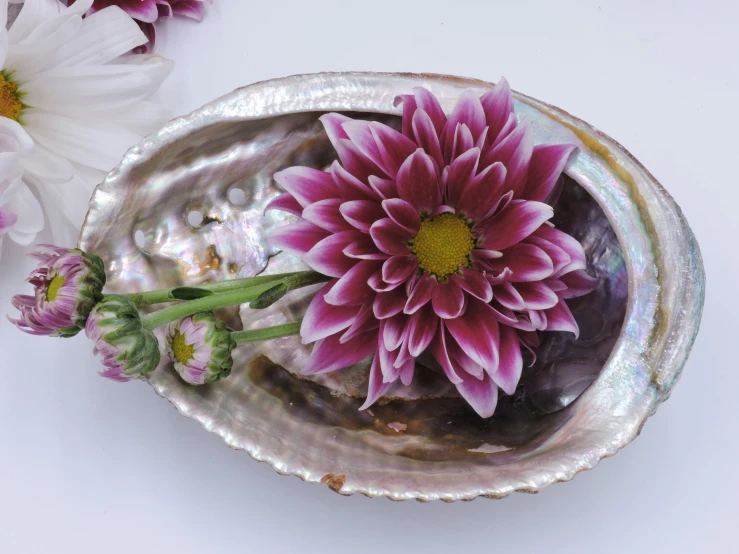 a bowl full of water and some flowers