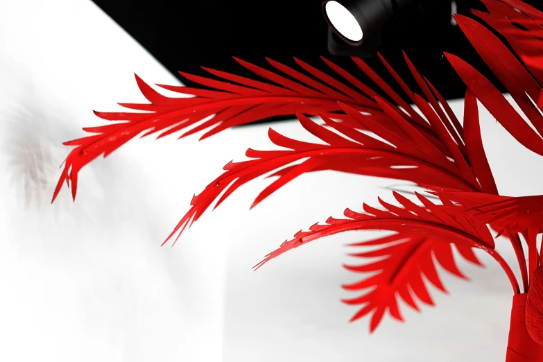 red leaves and white material on black object