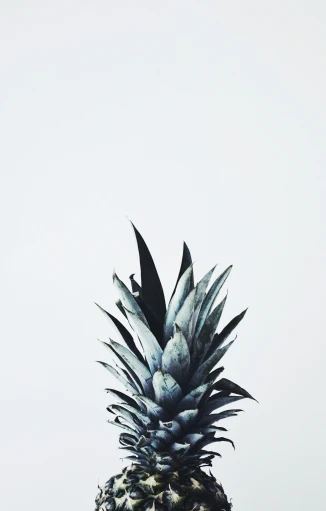 the pineapple has a large black crown atop it