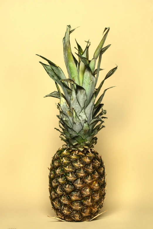 a pineapple sitting on a table ready to be eaten