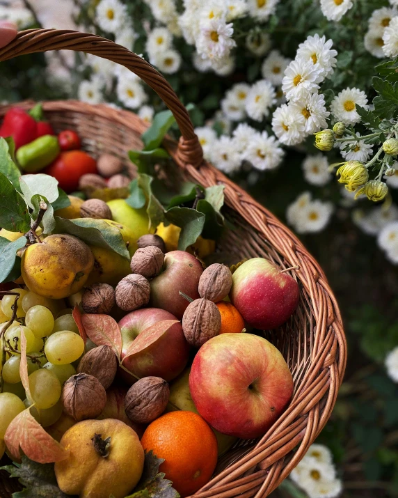 a wicker basket full of various fruits