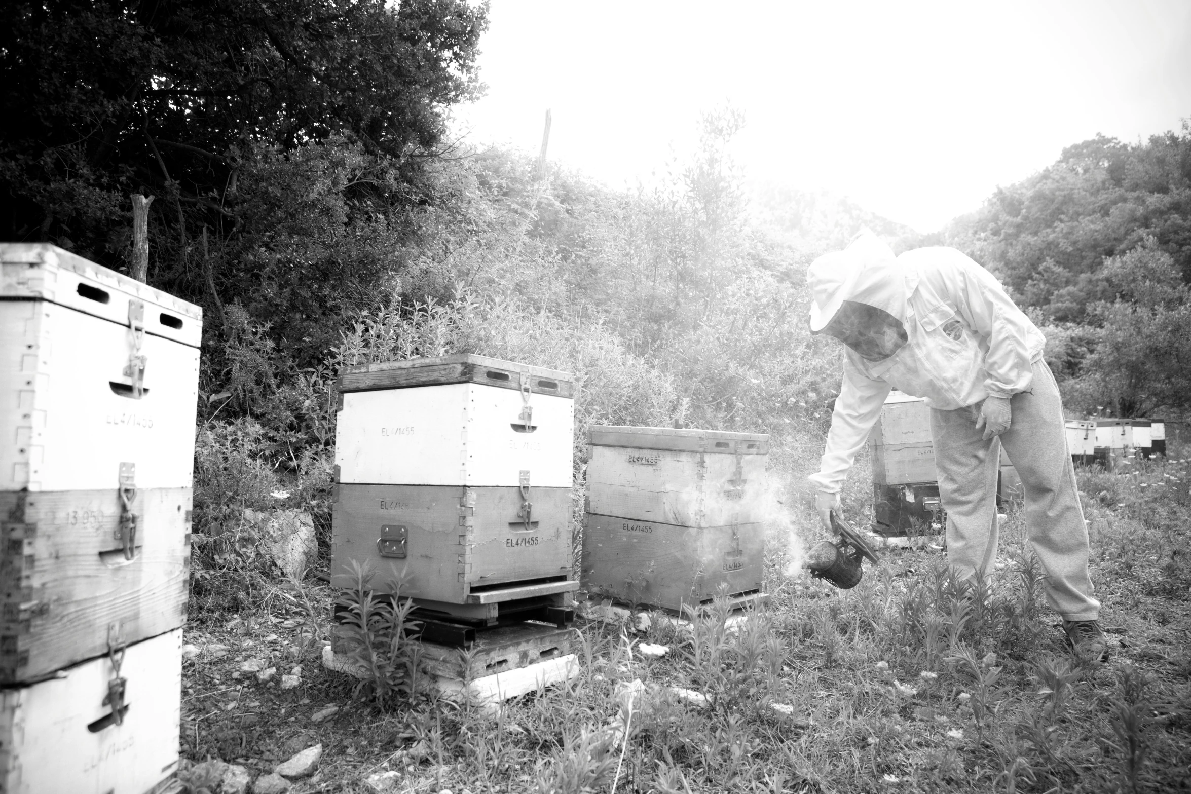 a man bending over in front of two bee boxes