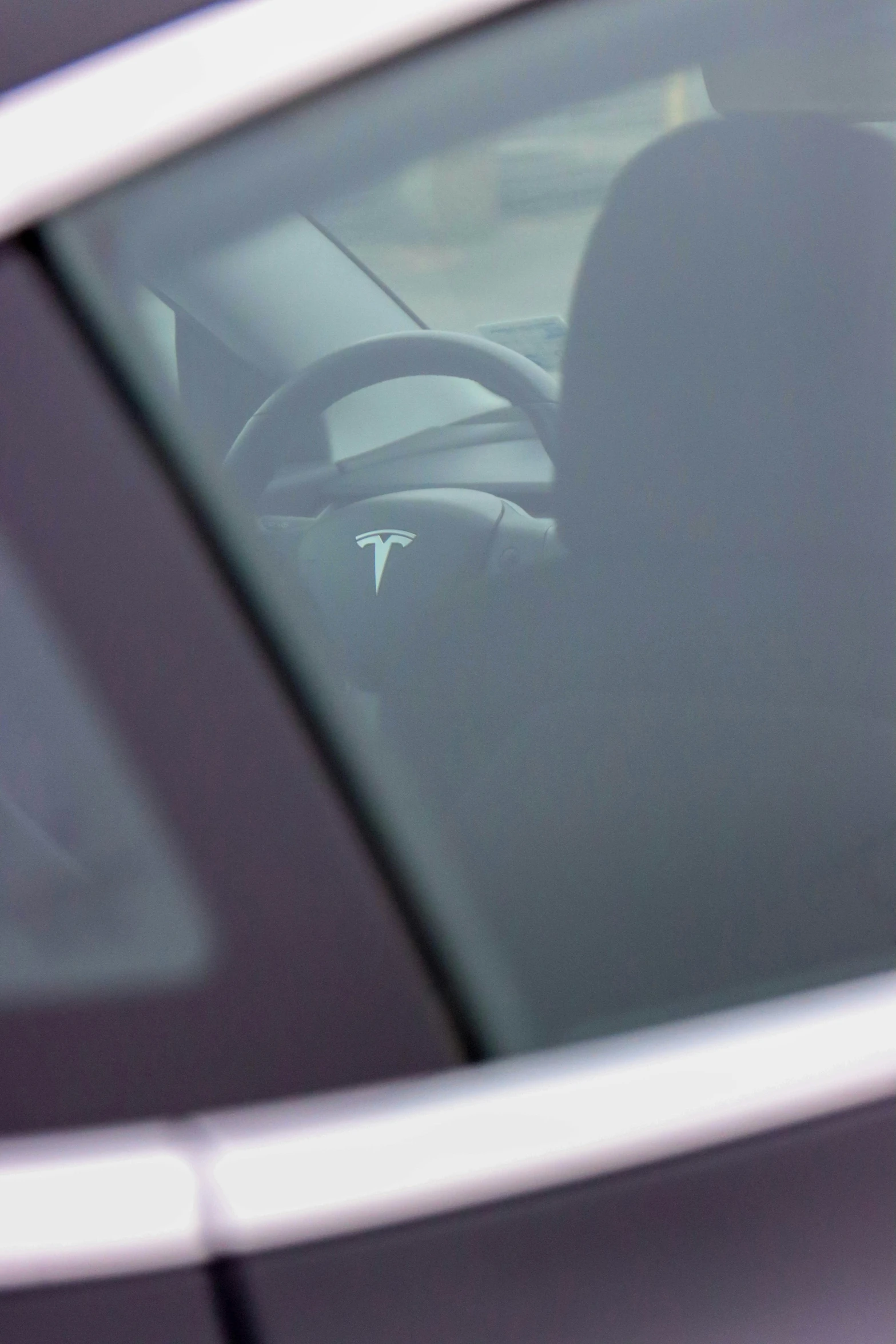 the inside view of a car that has a cat driving it