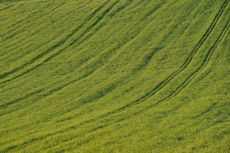 a field with a single airplane flying over it