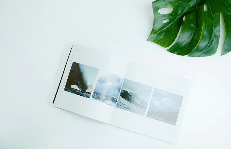 an opened po book sitting next to a green plant