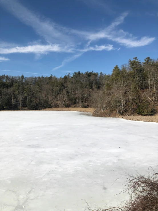 the water is frozen in a field by some trees