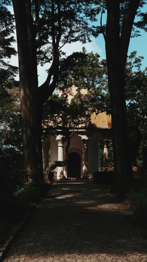 a walkway is between two large trees