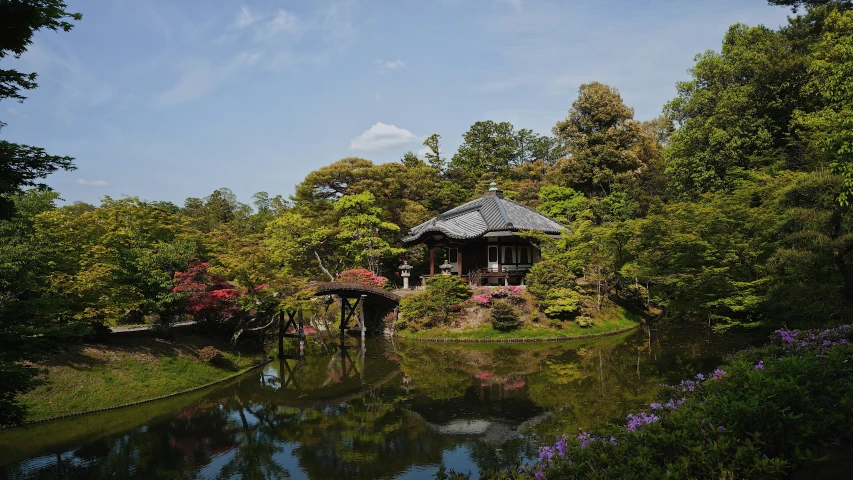 an open area with trees, bushes, and a river