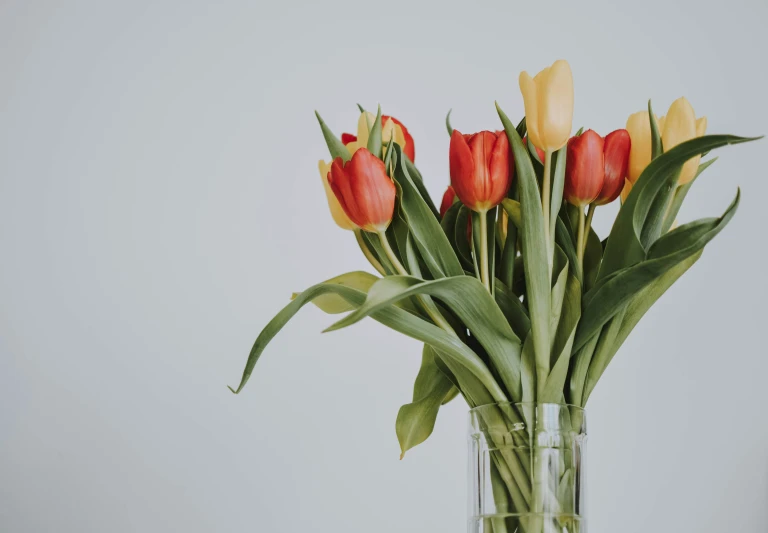 a clear vase filled with lots of yellow and red flowers