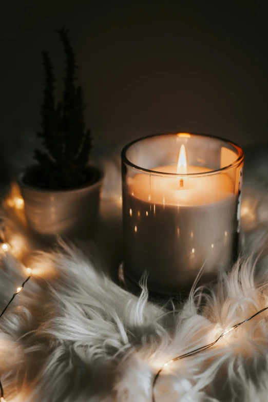 a candle with white feathers and a christmas tree in the background