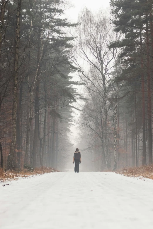 person standing in snowy landscape with trees behind