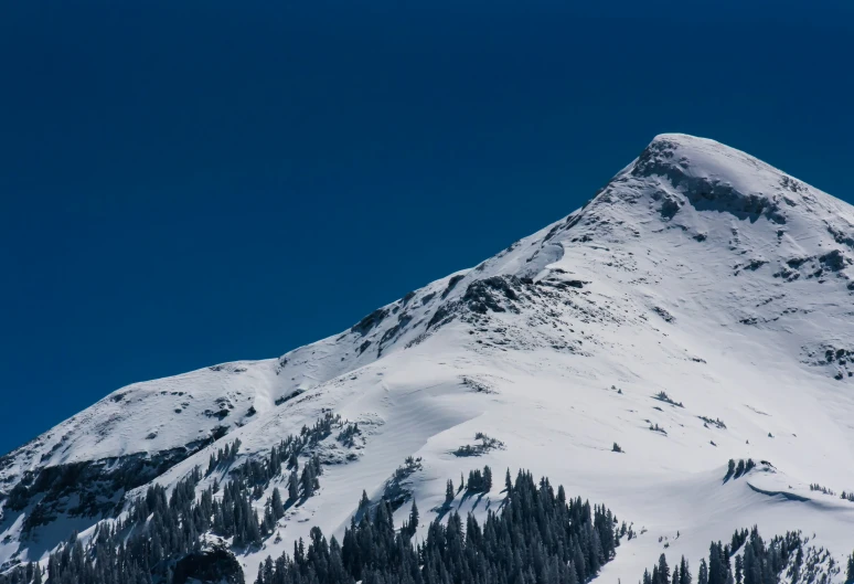 the snow - covered mountain has some trees on it